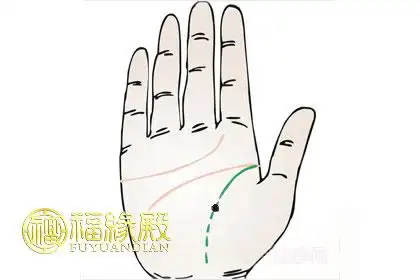 相学上说:"手心主富,手背主贵",如果手背上生有善痣,表示你颇善于理财