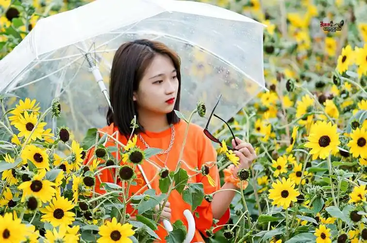 【花海女生】---大莉