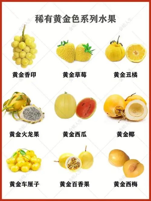 真的不常见,你觉得以下9个黄金色的水果,哪个更稀有呢?