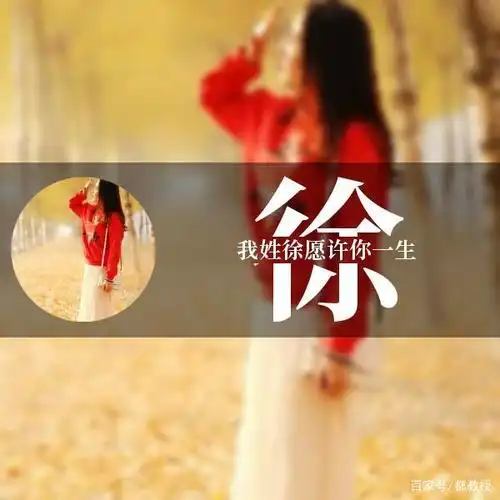 12张徐姓姓氏头像制作,每一张都有特点,不知道你喜欢不!