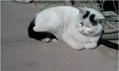 你的车能开几年,还是你说了算