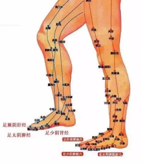 大腿粗是因为经络堵塞大腿内侧敲打疼痛原因