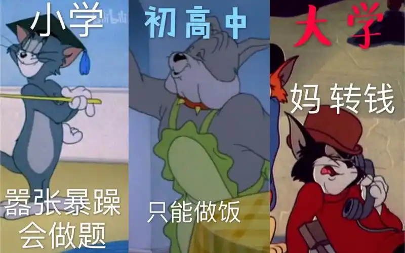 活动  【猫和老鼠】从小学初中到高中 家长们辅导孩子学习的真实现状