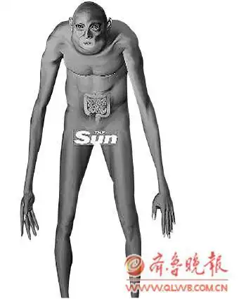 英媒称人类千年后将眼睛大脑袋小皱纹多牙齿少