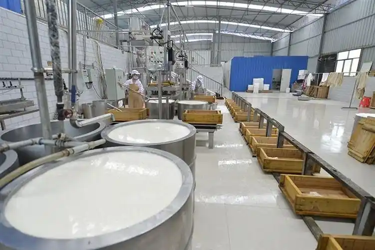 快来吃她的豆腐!