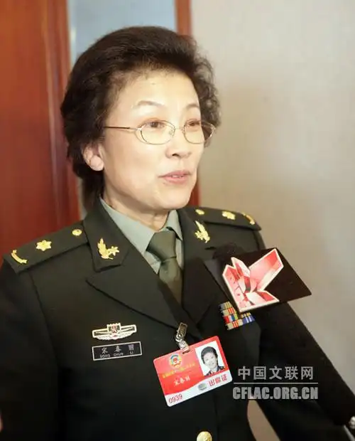 宋春丽委员接受媒体采访