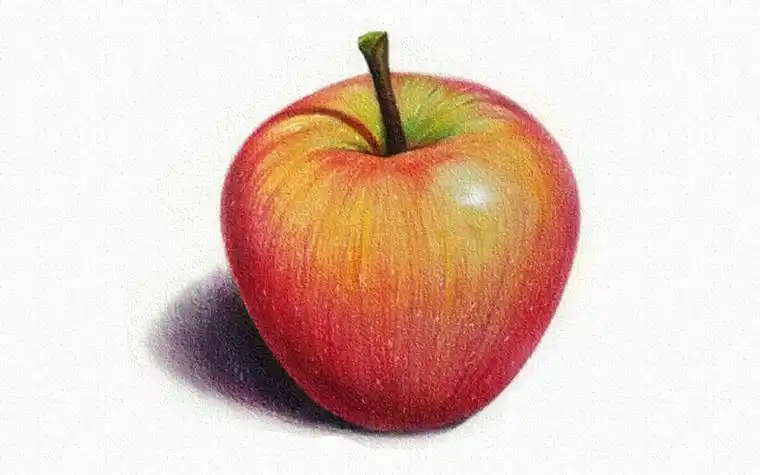 彩铅画苹果的步骤图片