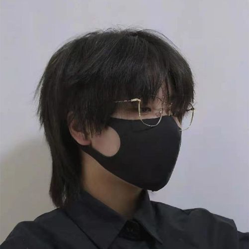 鲻鱼头假发男短发韩版帅气网红自然逼真少年狼尾头节目表演全头套