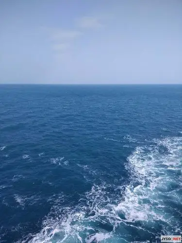 邮轮上拍到的大海