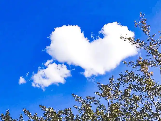 爱心云朵,偶然抓拍到的,拿去表白叭!