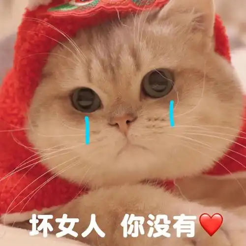 坏女人你没有心没有女人表情