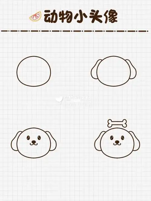 d44小动物简笔画