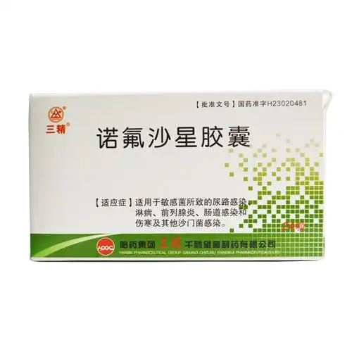 哈药 诺氟沙星胶囊 0.1g*24s-全药通-国内药品批发采购b2b网上商城
