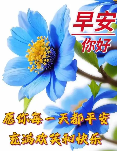 6月16日早安漂亮图片问候祝福语|快乐|暖暖|清晨|幸福_网易订阅