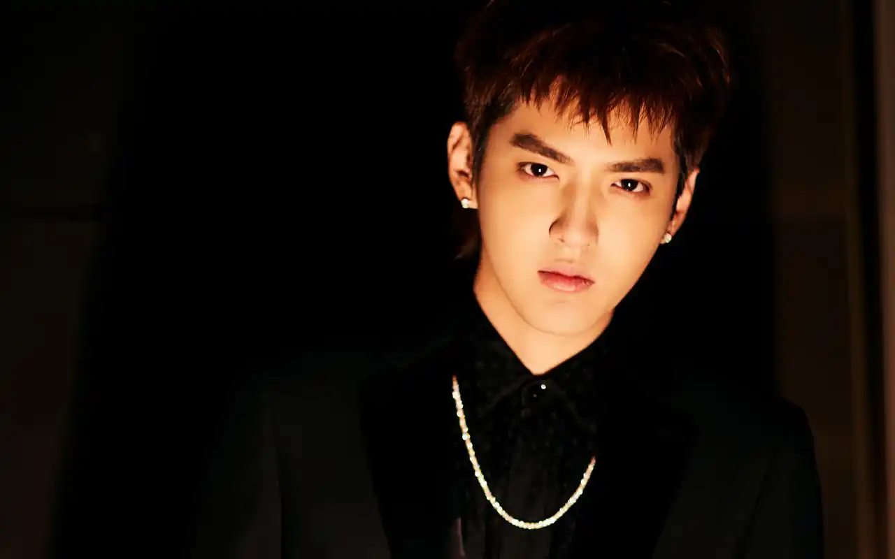 首页 桌面壁纸 大陆明星 吴亦凡黑色西装帅气图片壁纸 (3/ 7) 2018-08