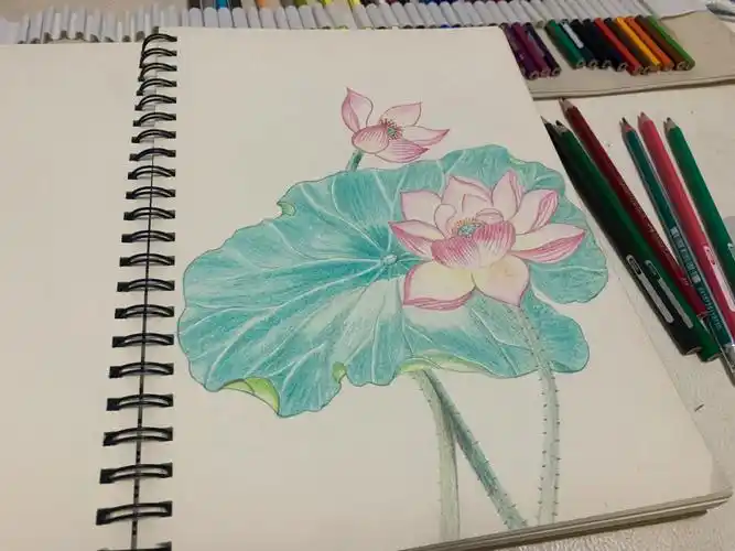 风景类铅笔画临摹