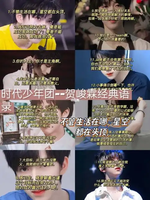 时代少年团贺峻霖经典语录