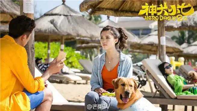 神犬小七第二季