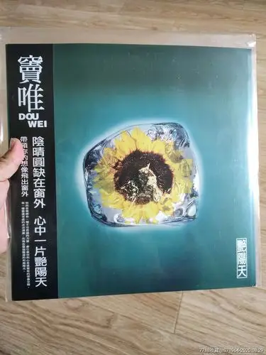 窦唯艳阳天t版黑胶lp唱片_老唱片/胶片_图片收藏_回收价格_7788老唱片