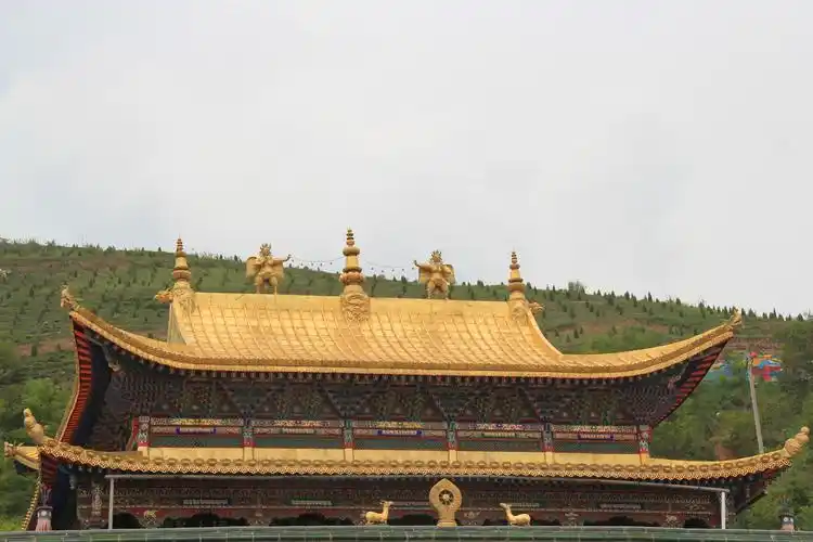 大金瓦殿                                               塔尔寺