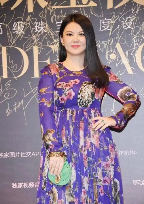 目测李湘胖到150斤穿紫裙大肚抢镜手上镀金链条包更是奢华