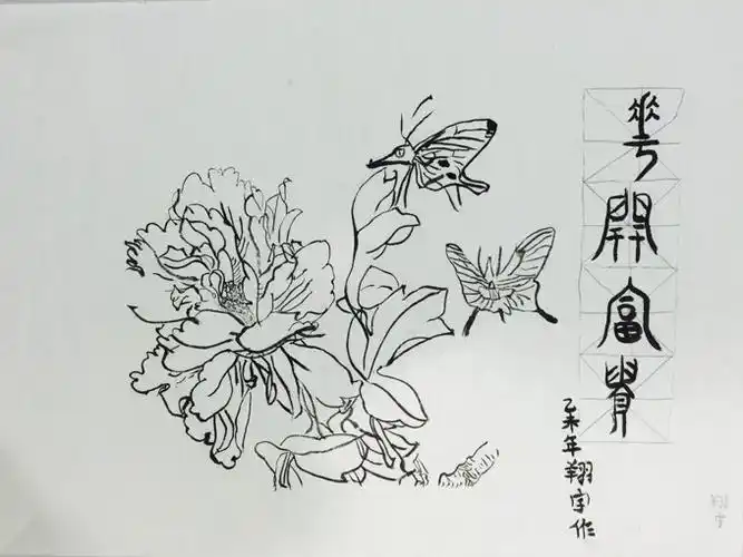 周六上—白描《花开富贵》