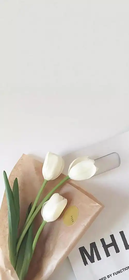 小众文艺风壁纸