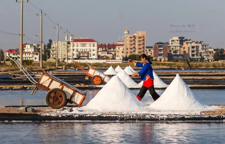 家用食用盐哪种牌子好中国十大食盐品牌