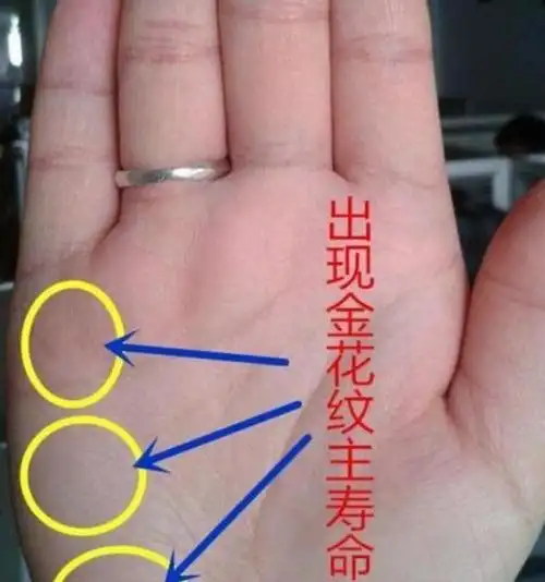 手掌纹路是两个人(手掌纹两个手不一样)