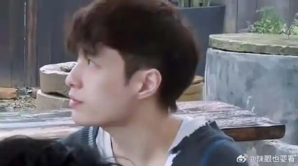 杨紫在线辟谣,表示跟张艺兴不熟,太逗了 | 《向往的生活》