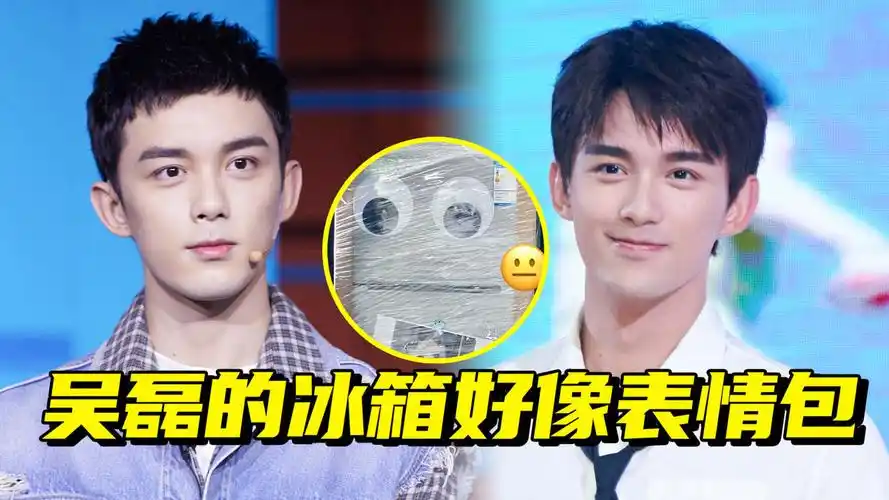吴磊的冰箱好像表情包,呆呆眼神萌化了!