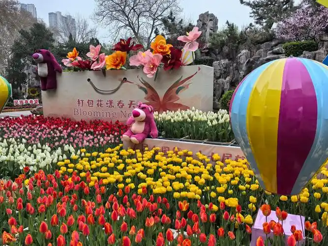 赏花又添新地 郑州市人民公园 第二十七届郁金香花展来了-大象网