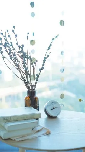 治愈系白色家居静物图片手机壁纸