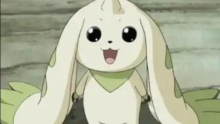 数码宝贝:超可爱超萌的大耳兽进化合集来了