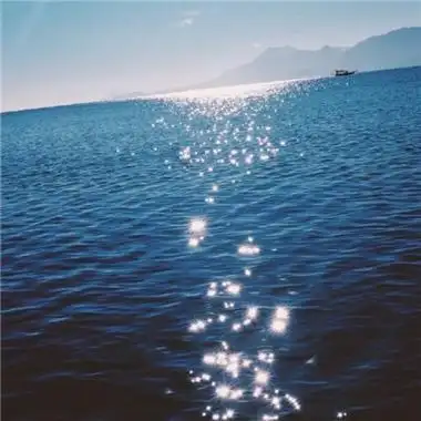 清新意境静物风景头像大全