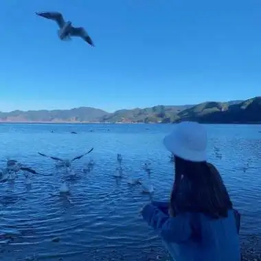 微信头像女风景图片唯美成熟稳重 微信头像唯美(2)_布阁拉