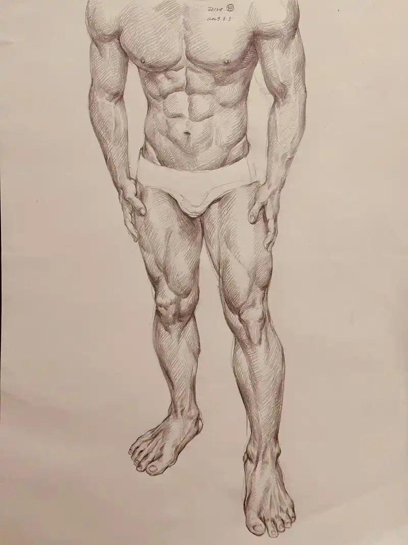 肌肉 #健身 #完美身材 #速写 #人体 - 抖音