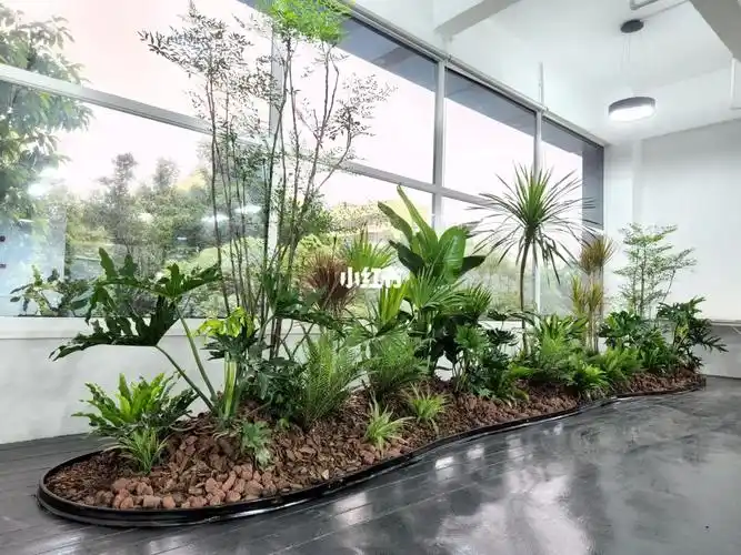 办公室内植物造景