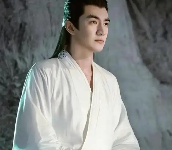 内娱十大美男:实力背后的坚持与努力故事