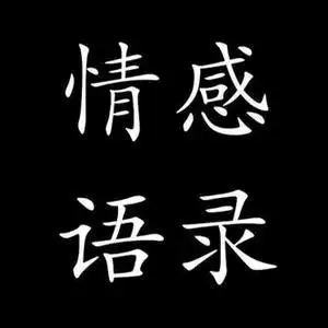 兵少情感语录头像