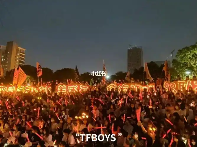 tfboys粉丝演唱会
