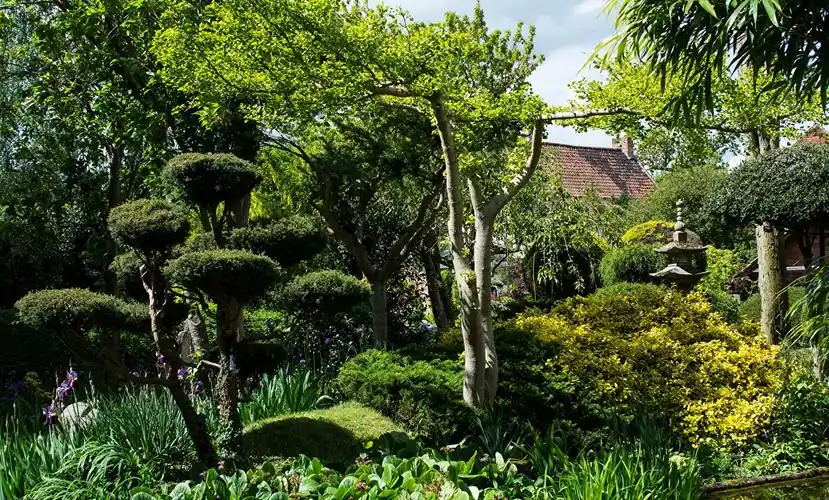 庭园,树,灌木,大自然壁纸,照片,下载