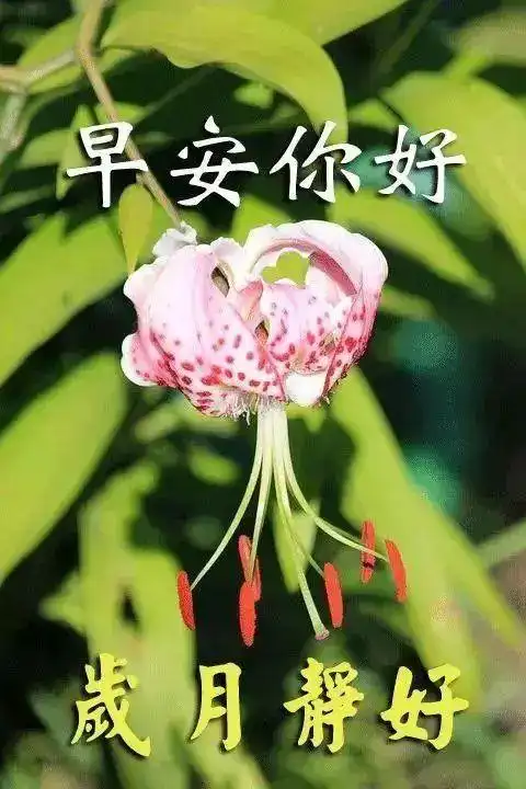 2021年3月29日星期一清晨早上好非常漂亮动态表情图片 周一最新早安