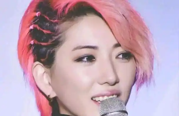 刘忻当年由湖南卫视的选秀节目《快乐女声》一举捧红,成为2011年的