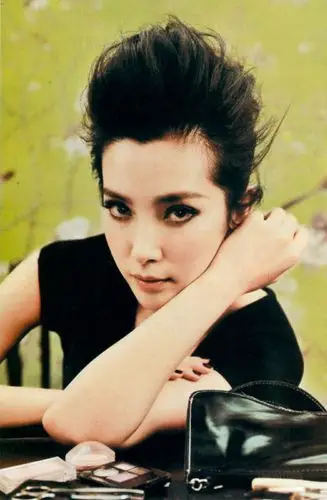 巩俐周迅范冰冰章子怡中国女星最标致的美人脸【31】