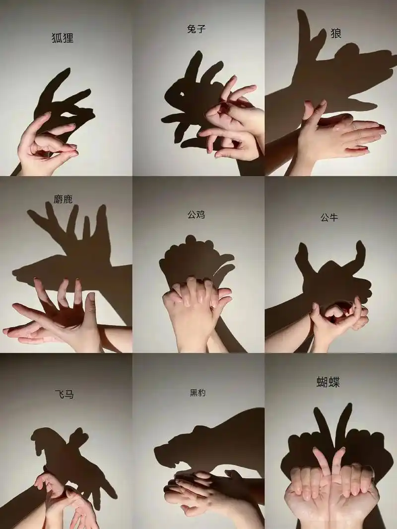 睡前和孩子一起做超级有趣手影#灯光下的影子 #提升专注力#亲 - 抖音