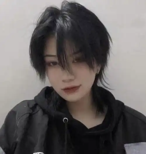 整个发是栗色发色的,直发式的少年发型,这样的头发显得是很干练的,中