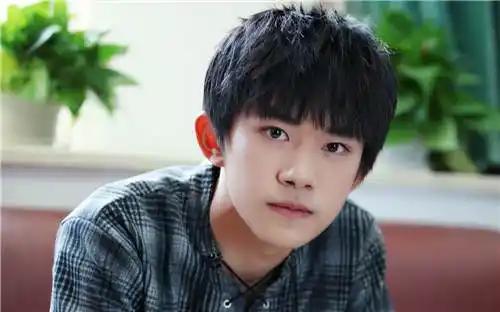 也有人会觉得易烊是一个复姓,其实易烊千玺的姓氏就是易并不是易烊