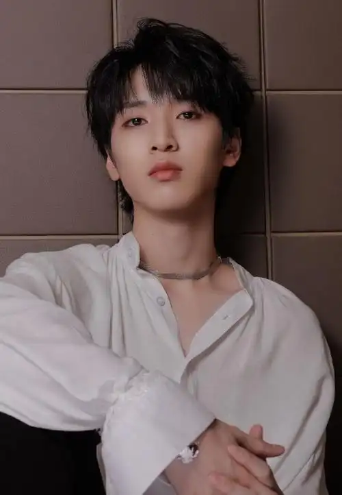 明星身着白衬衫的神图#严浩翔白衬衫yyds 就很贵啊