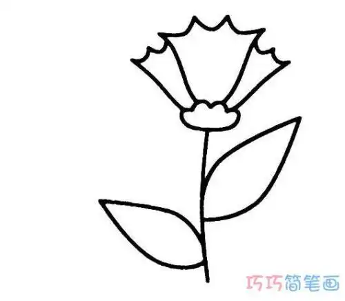卡通版康乃馨怎么画康乃馨简笔画图片